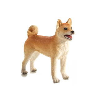 Mojo Hund Shiba
